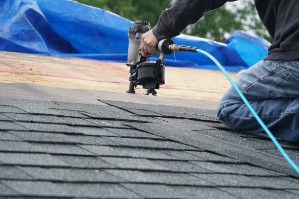 Best Metal Roofing Contractor  in Brookville, PA